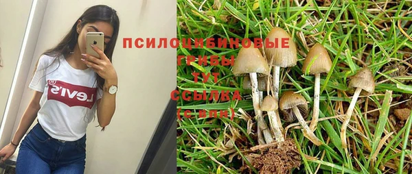 гашиш Верея